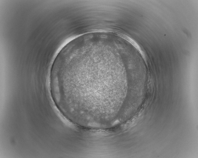 X0000115180811200911181425