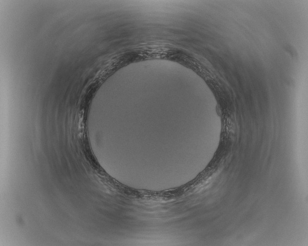 X0000115180818200911181425