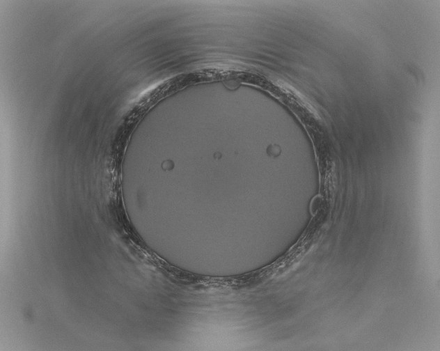 X0000115180822200911181425