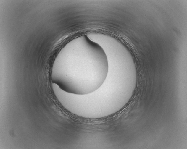 X0000115180824200911181425