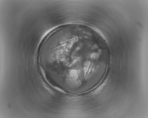 X0000115180830200911181425