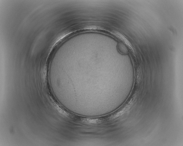 X0000115180831200911181425