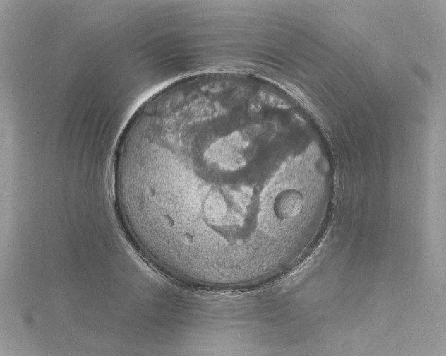 X0000115180838200911181425