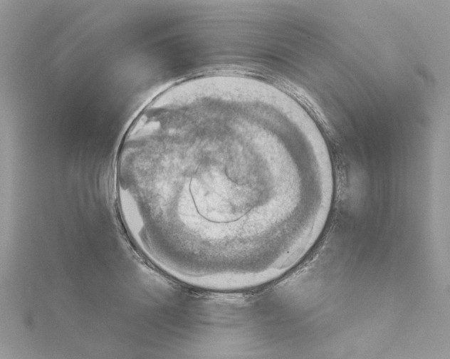 X0000115180844200911181425