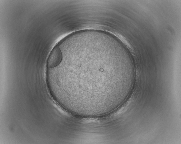 X0000115180846200911181425