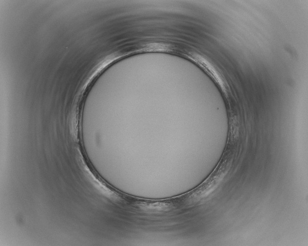 X0000115180851200911181425