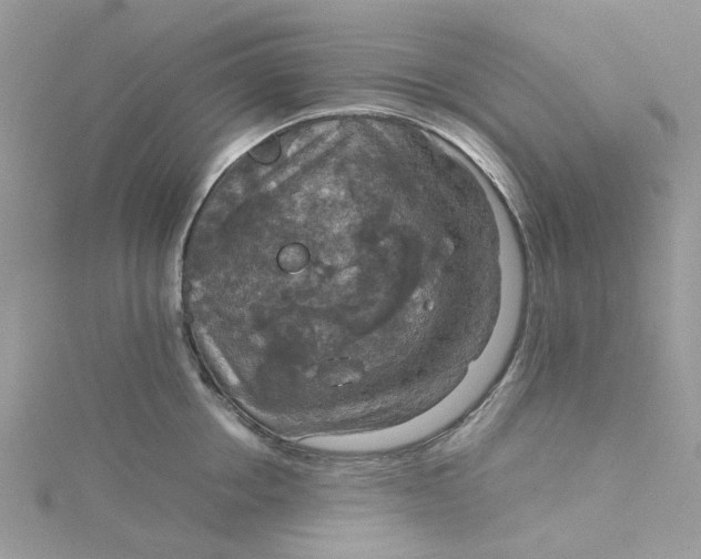 X0000115180858200911181425