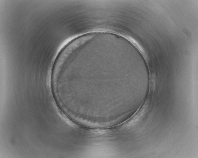 X0000115180862200911181425