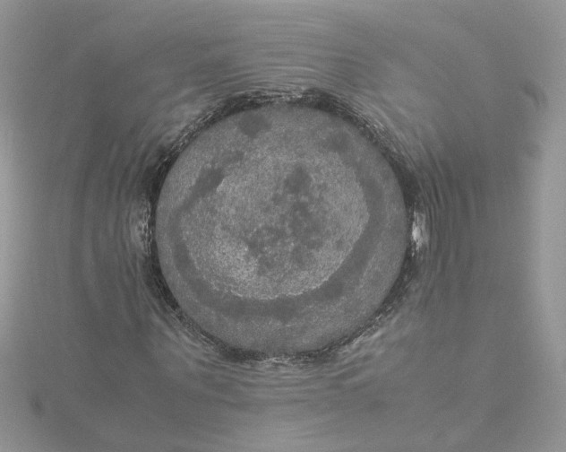 X0000115180867200911181425