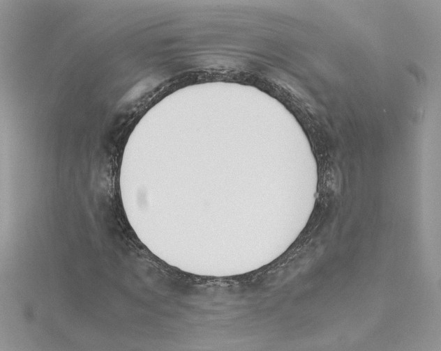 X0000115180869200911181425