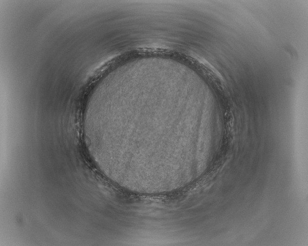 X0000115180870200911181425