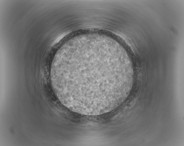 X0000115180871200911181425