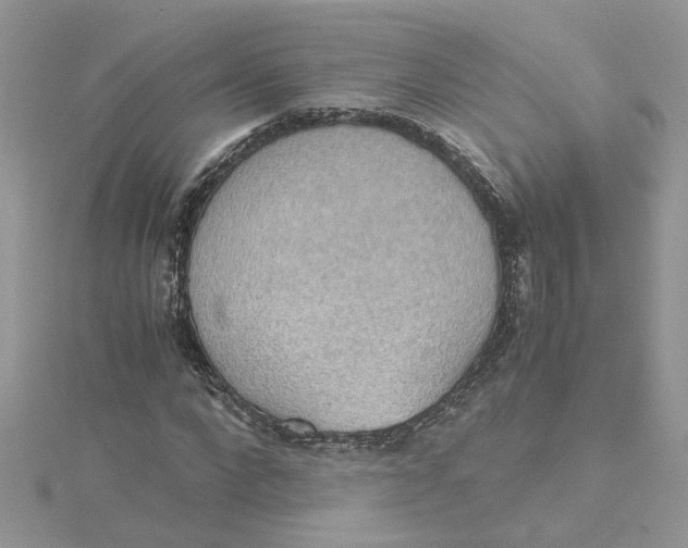 X0000115180872200911181425