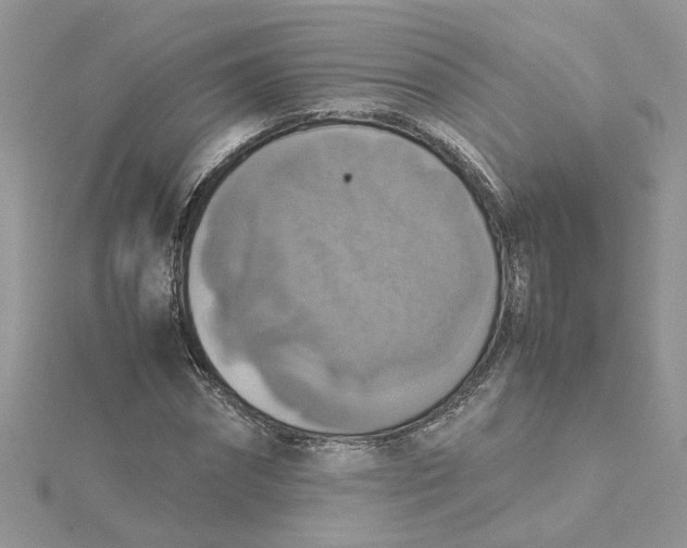 X0000115180874200911181425