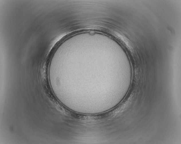 X0000115180875200911181425