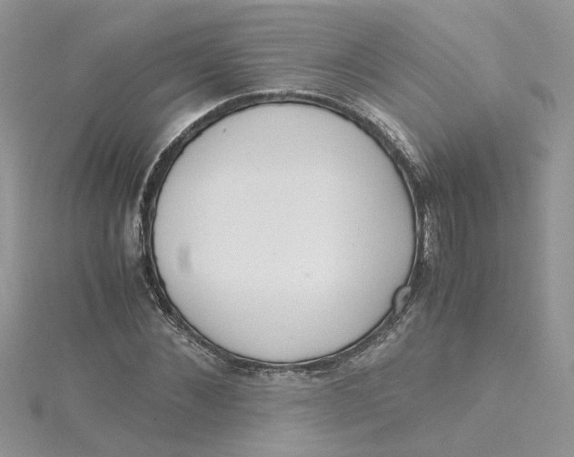 X0000115180876200911181425