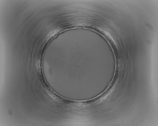 X0000115180881200911181424