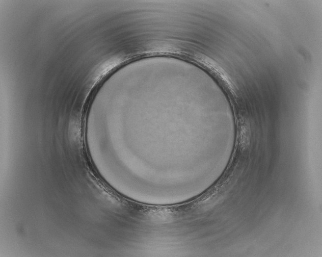 X0000115180882200911181424