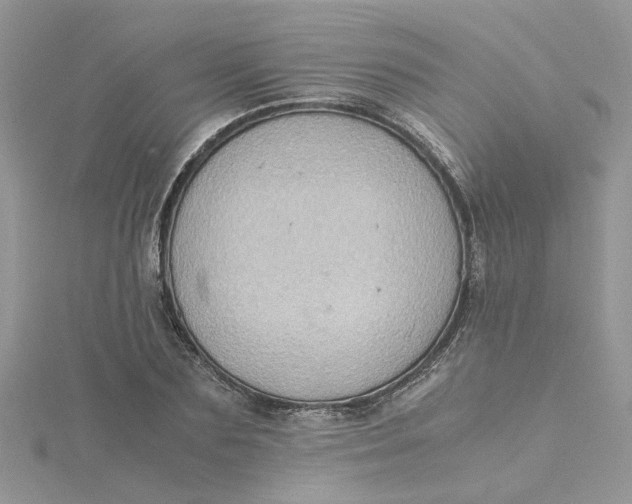 X0000115180883200911181424
