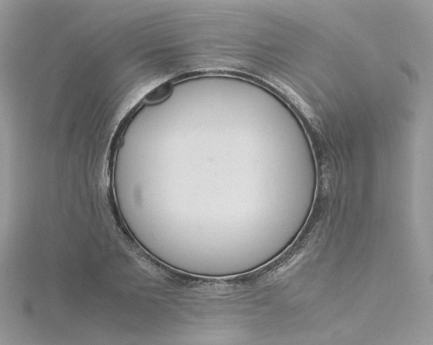 X0000115180885200911181424