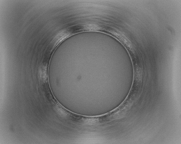 X0000115180889200911181424