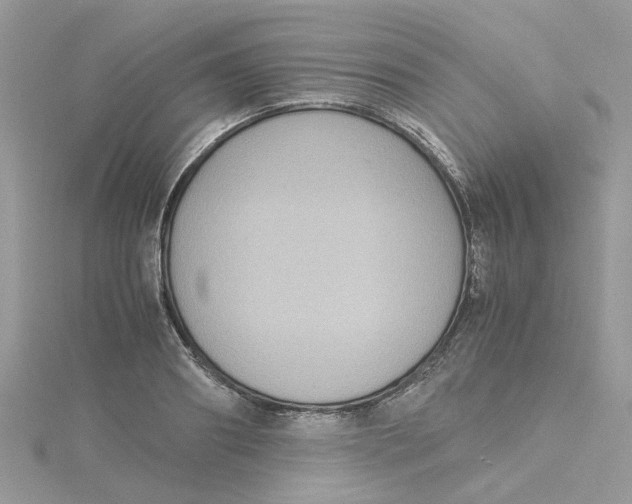 X0000115180890200911181424