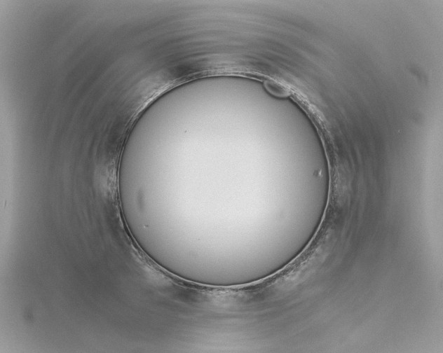 X0000115180897200911181424
