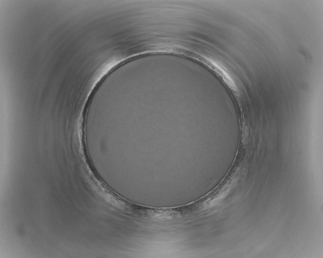 X0000115180899200911181424