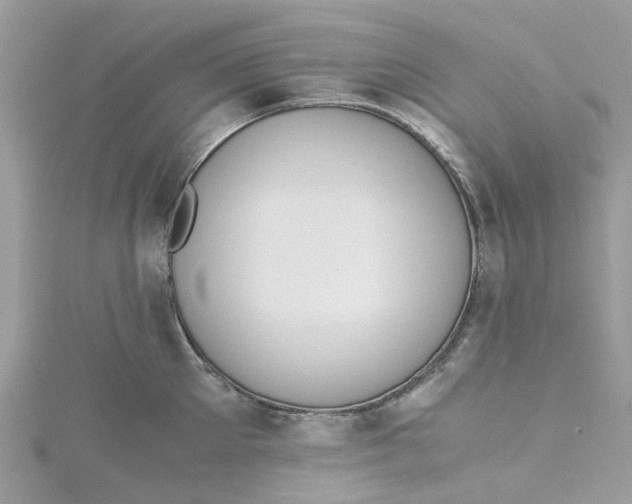 X0000115180905200911181424