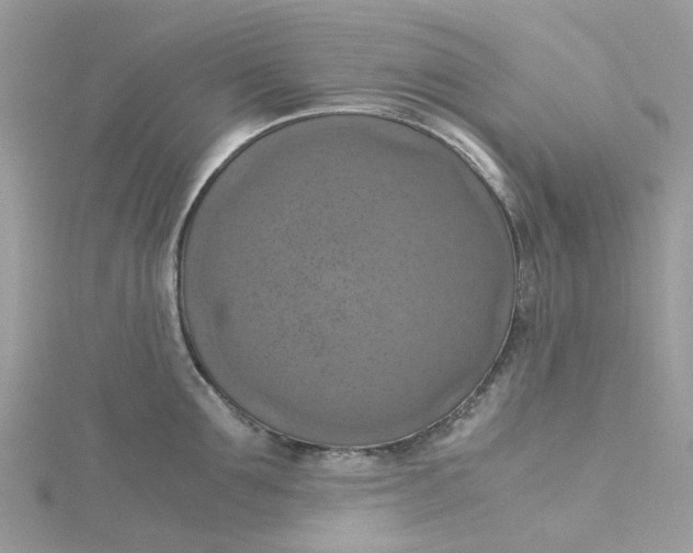 X0000115180907200911181424