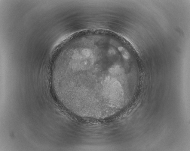 X0000115180919200911181424