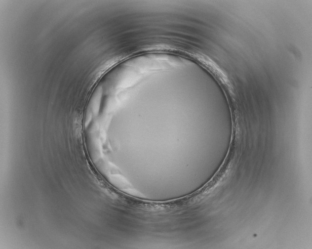 X0000115180945200911181424