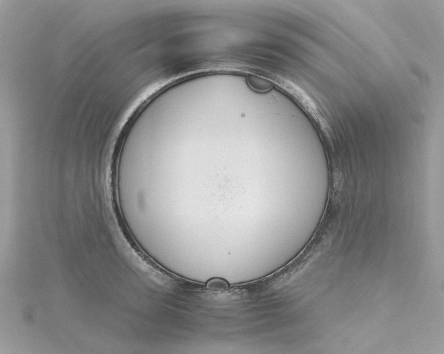 X0000115180947200911181424