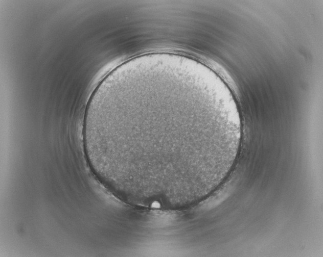 X0000115180954200911181424