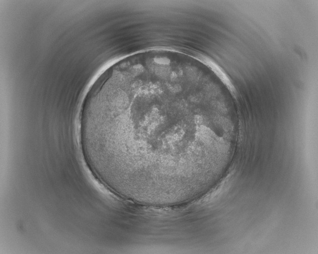 X0000115180955200911181424