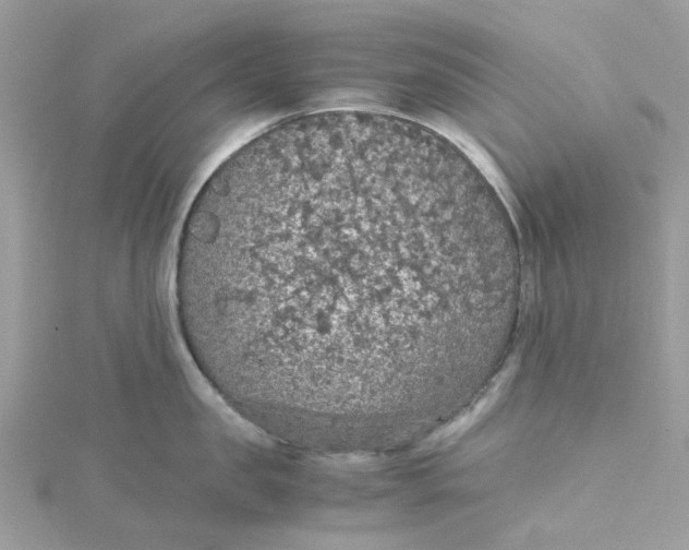 X0000115180957200911181424