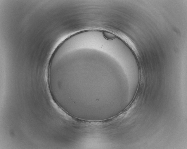 X0000115180958200911181424