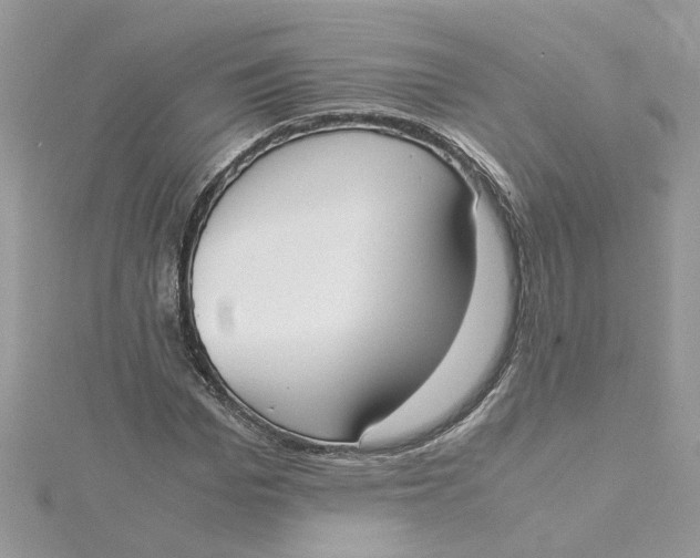 X0000115180969200911181423