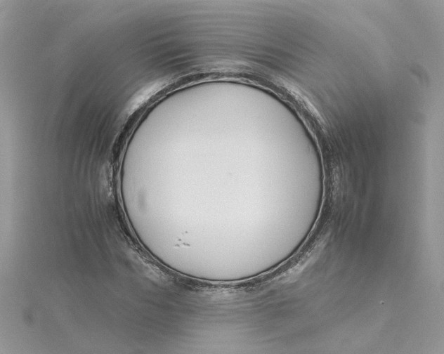X0000115180970200911181423