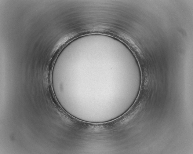 X0000115180978200911181423