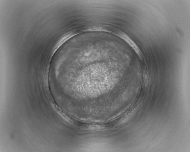 X0000115181002200911181423