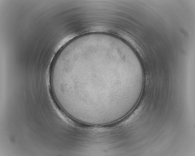 X0000115181034200911181423