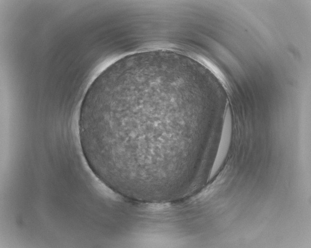 X0000115181055200911181423