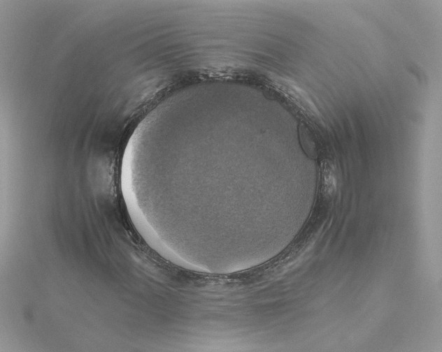 X0000115181060200911181422