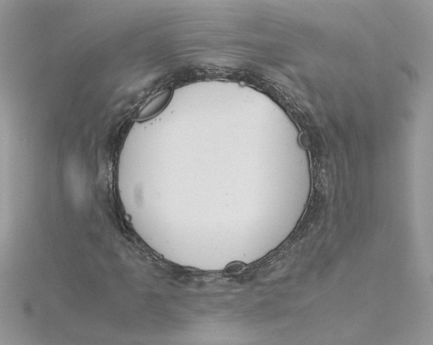 X0000115181061200911181422