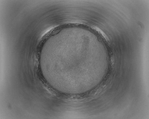 X0000115181064200911181422