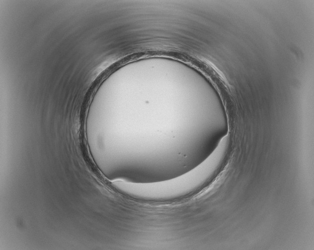 X0000115181065200911181422