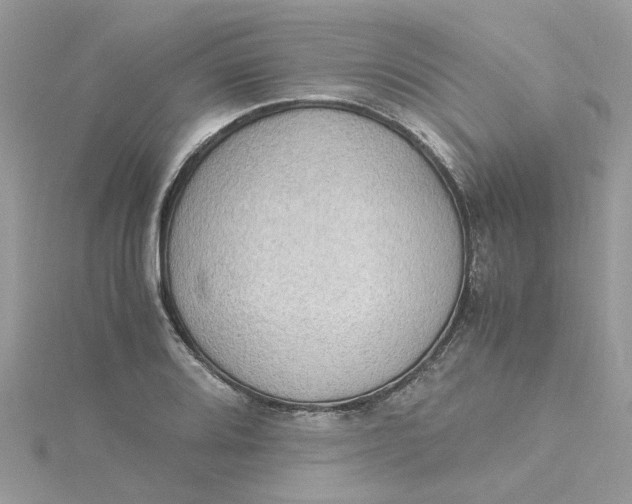 X0000115181080200911181422