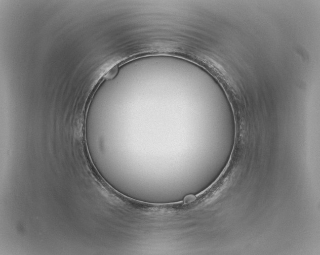 X0000115181081200911181422
