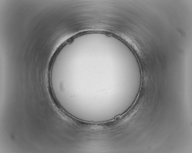 X0000115181085200911181422